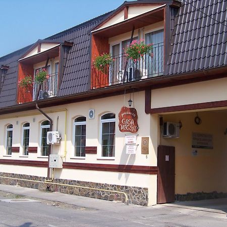 Vila Veche Haţeg エクステリア 写真